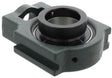 NTN Spann-Gehäuseeinheit UELT212 D1 60 mm – Grauguss, Exzenterspannring, grün