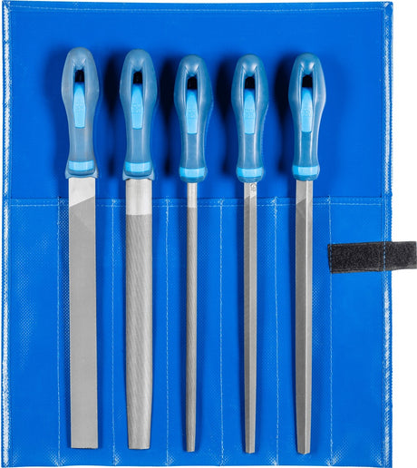 PFERD Feilensatz 250 mm Hieb 2 mit 2K-Ergo-Heft, 5-teilig für Stahl, Aluminium und Guss