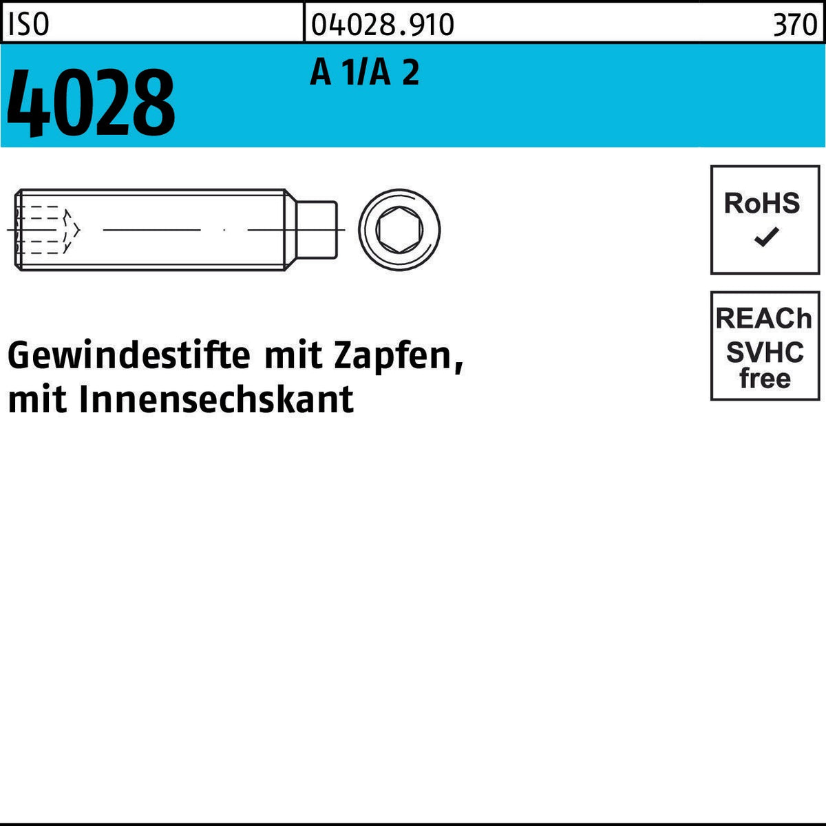 F. REYHER Gewindestift ISO 4028 Zapfen/Innensechskant M6x50 A1/A2 100 Stück