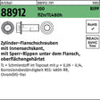 F. REYHER Zylinderflanschschraube R 88912 Sperr-Ripp Innensechskant M6x12 500 Stück