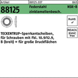 TECKENTRUP Sperrkantscheibe NSK-B 6 mm Federstahl zinklamellenbeschichtet 1000 Stück