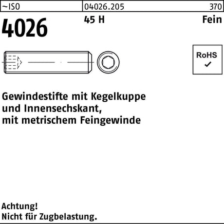 F. REYHER Gewindestift ISO 4026 Kegelkuppe Innensechskant M6x0,5x20 45 H 500 Stück