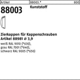 REYHER Zierkappe R 88003 für Kappenschrauben Ø 3,9 mm, weiß
