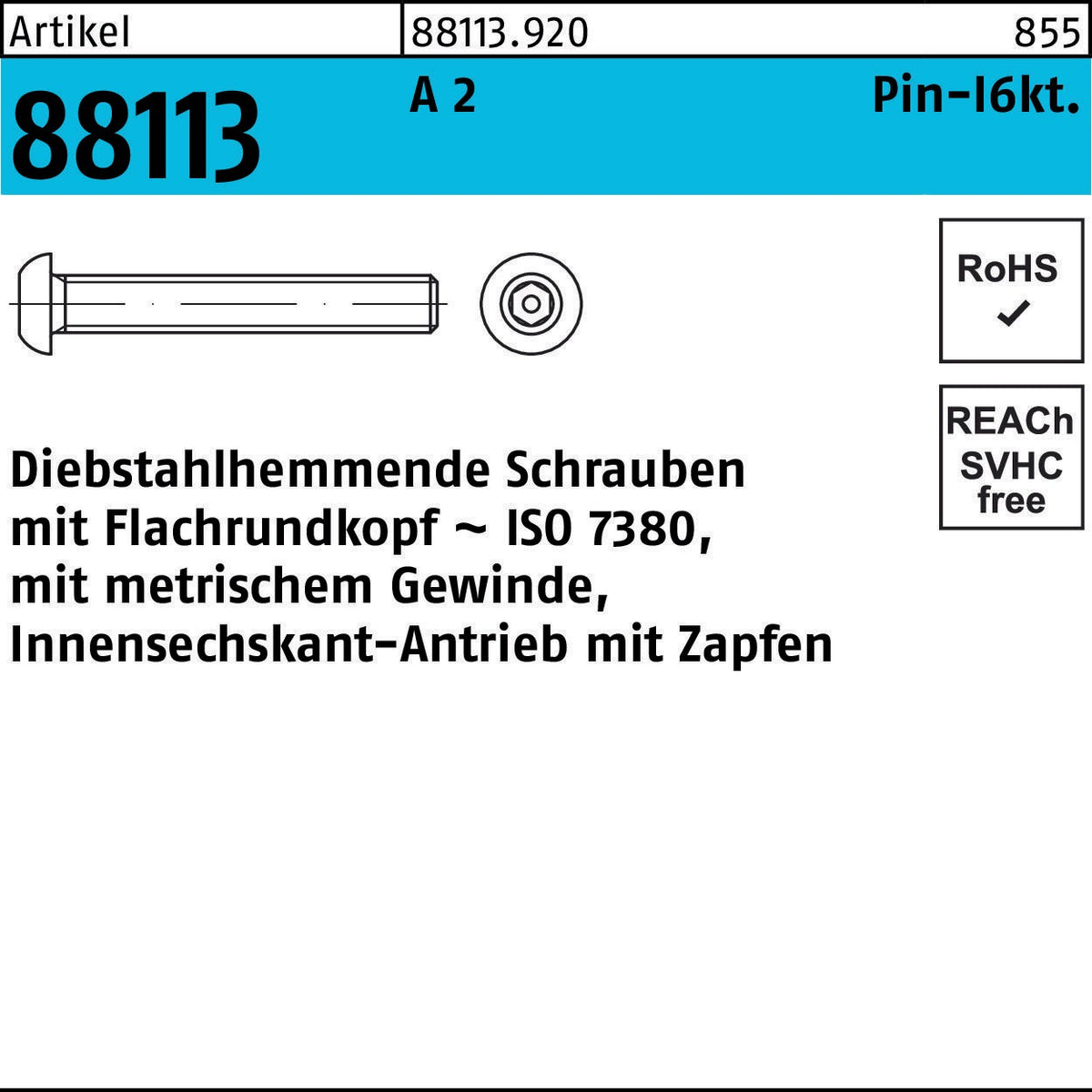 F. REYHER Diebstahlhemmende Schraube R 88113 Innen-6kt Zapfen M3x6 A2