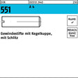 F. REYHER Gewindestift DIN 551 mit Kegelkuppe und Schlitz M3 x 4 mm A4 – 50 Stück