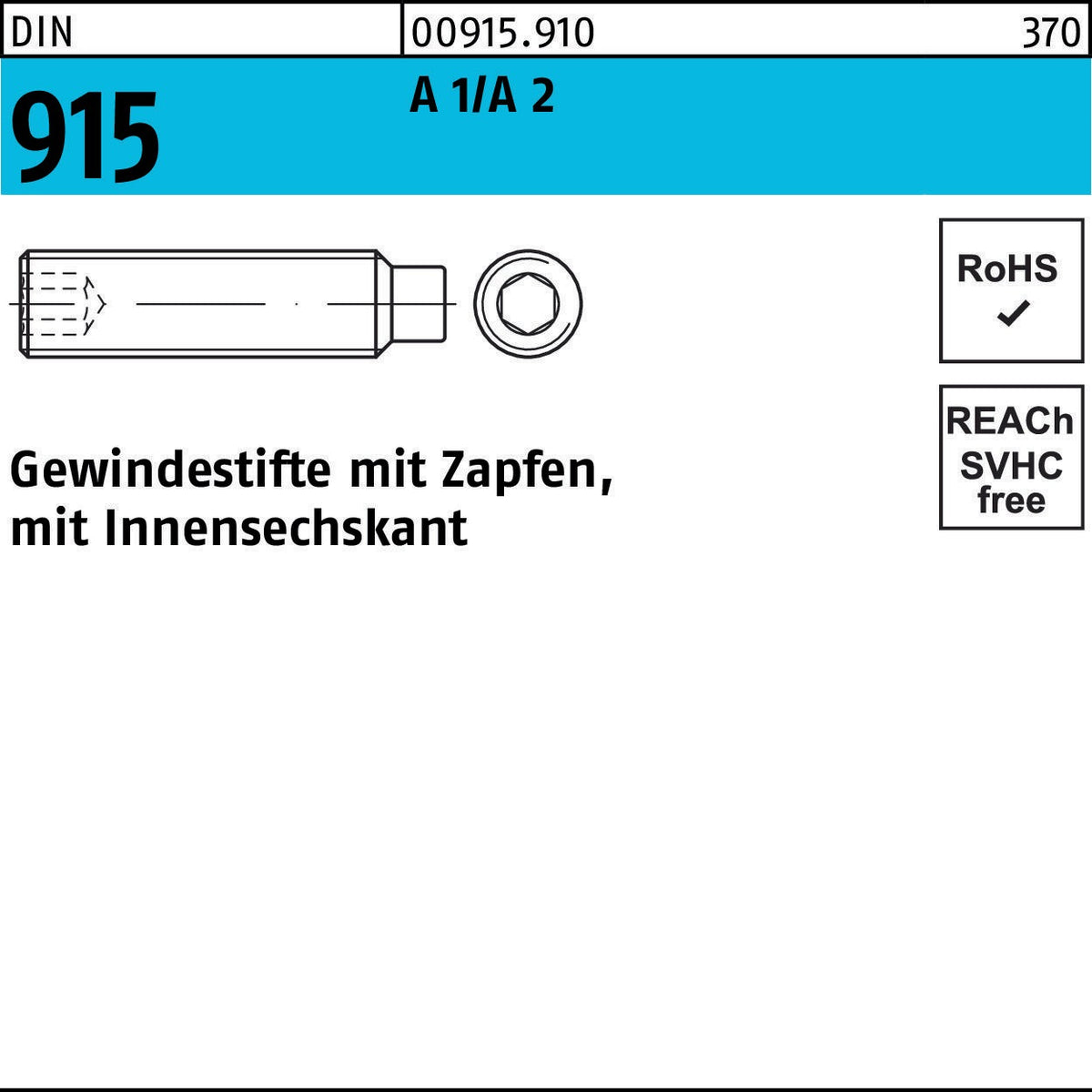 Gewindestift DIN 915 mit Zapfen und Innensechskant M2x6 A1/A2 – 500 Stück von F. REYHER