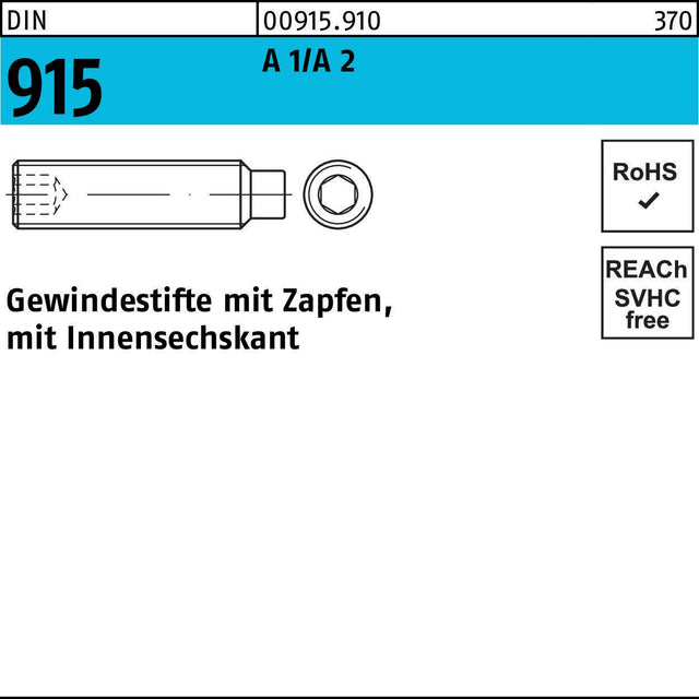 Gewindestift DIN 915 mit Zapfen und Innensechskant M2x6 A1/A2 – 500 Stück von F. REYHER