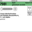 F. REYHER Linsen-Blechschrauben DIN 7981 Form F-H 4,8x9,5 mm Stahl verzinkt 500 Stück