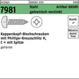 F. REYHER Kappenkopf-Blechschraube R 88981 PH 3,9x9,5 mm Stahl galvanisch verzinkt