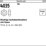 F. REYHER Sechskantmutter ISO 4035 Niedrig M10 Automatenstahl 500 Stück