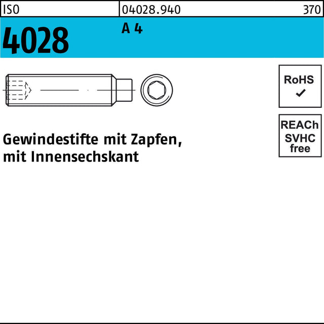 F. REYHER Gewindestift ISO 4028 Zapfen/Innensechskant M4x6 A4 500 Stück