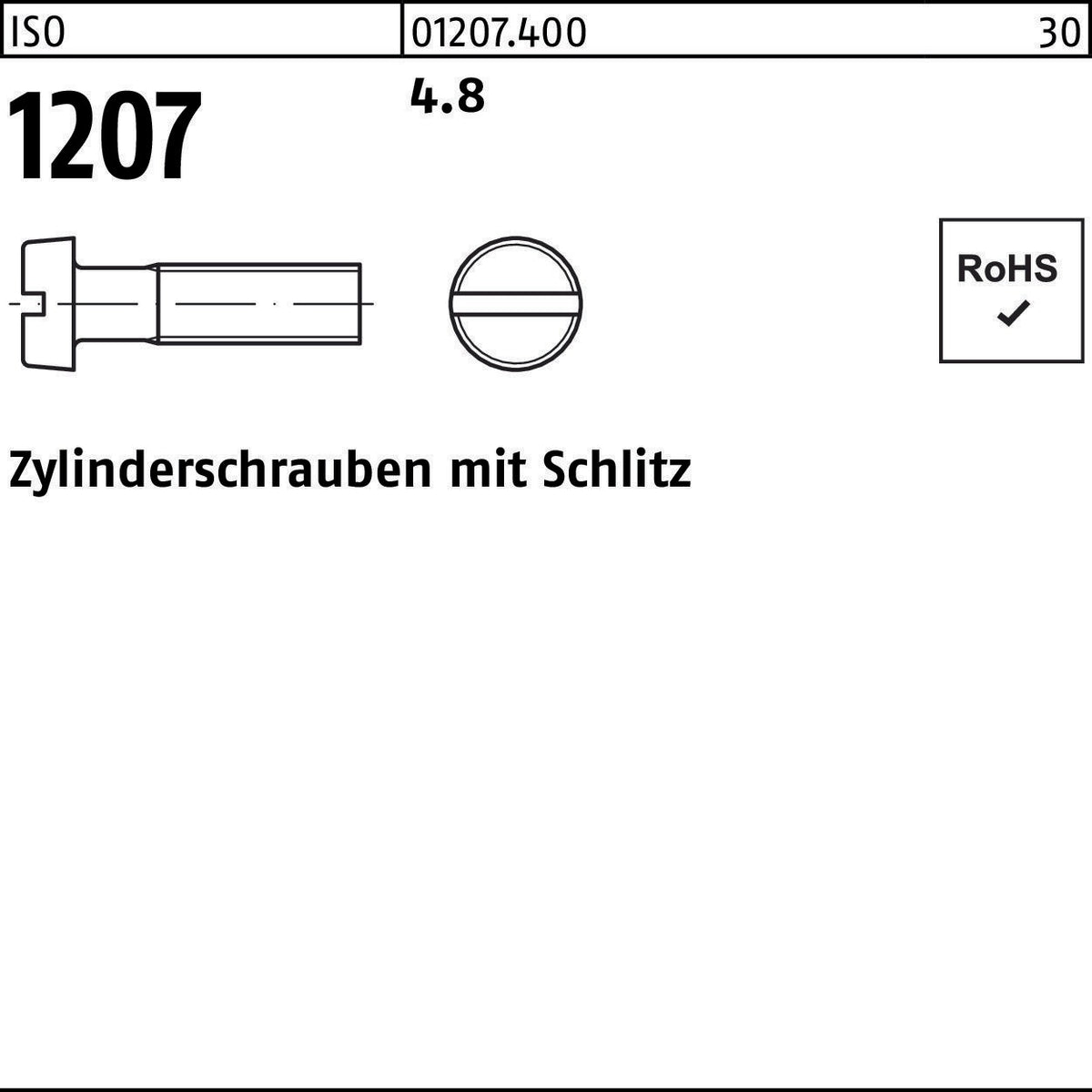 F. REYHER Zylinderschraube ISO 1207 Schlitz M5x60 4.8