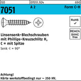 F. REYHER Linsensenk-Blechschrauben ISO 7051 2,9 x 6,5 mm Stahl verzinkt 2000 Stück
