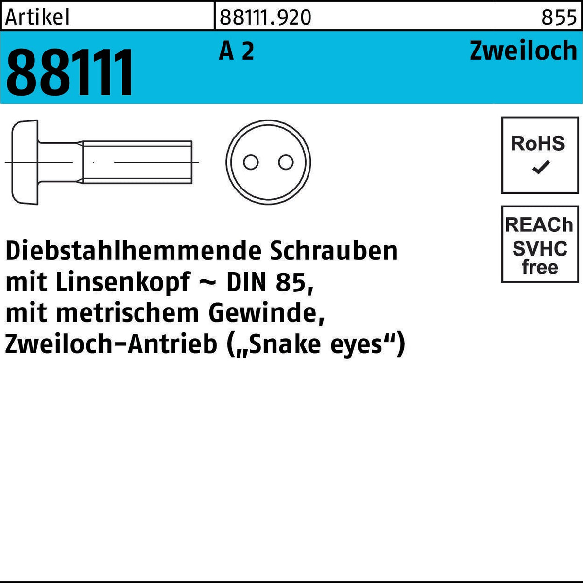 REYHER Schraube R 88111 diebstahlhemmend Liko/Zweiloch M3x6 A2