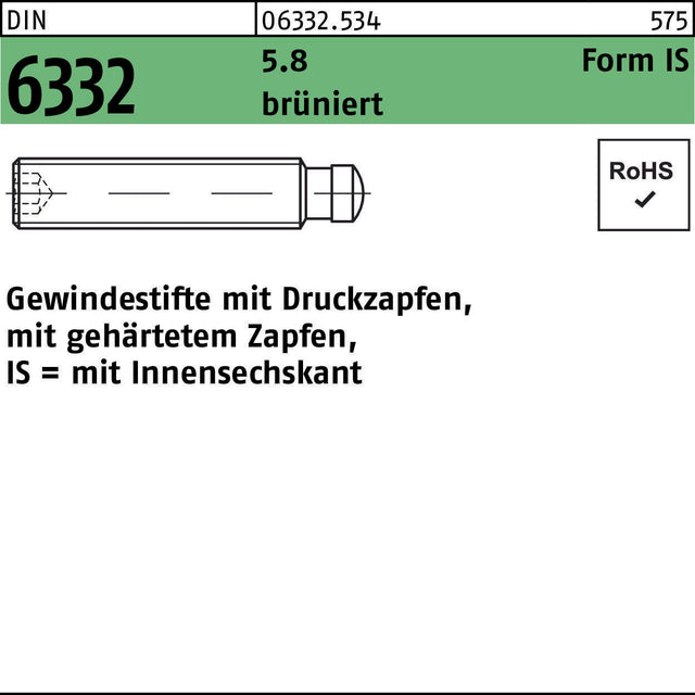 F. REYHER Gewindestift DIN 6332 Form IS M6x30 mit Zapfen & Innensechskant, brüniert