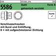 F. REYHER Verschlussschraube DIN 5586 Form B BG 1 1/2 A mit Entlüftung, Stahl verzinkt