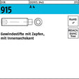 F. REYHER Gewindestifte DIN 915 mit Zapfen und Innensechskant M8x50 A4 – 50 Stück