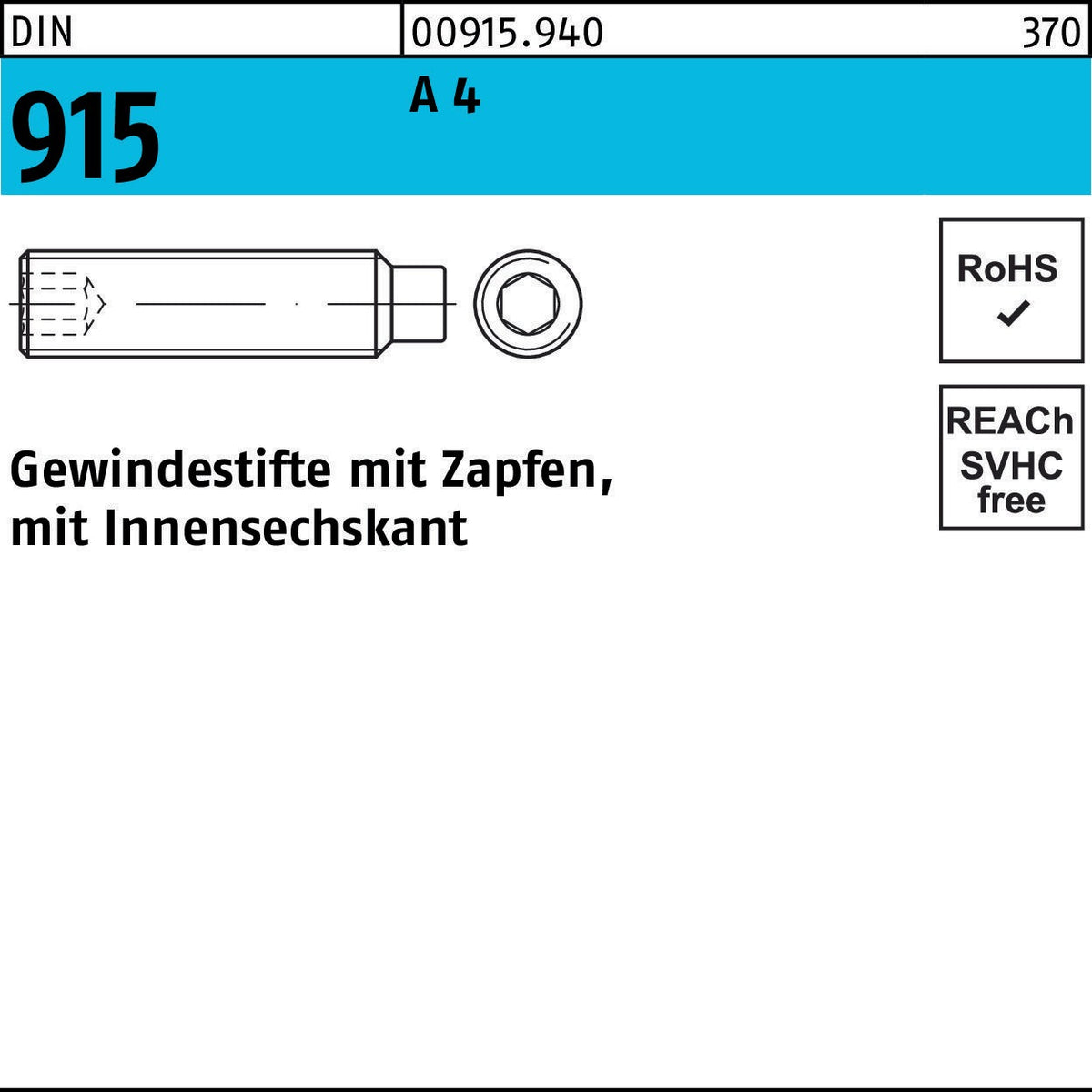 F. REYHER Gewindestifte DIN 915 mit Zapfen und Innensechskant M8x50 A4 – 50 Stück