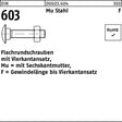 F. REYHER Flachrundschraube DIN 603 M8x70 mit Vierkantansatz und Sechskantmutter, Mu Stahl 4.6