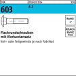 F. REYHER Flachrundschraube DIN 603 Vierkantansatz M12 x 150 mm A2