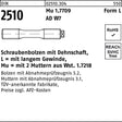F. REYHER Schraubenbolzen DIN 2510 Dehnschaft LM 12x65 Mu 1.7709 mit 2 Muttern