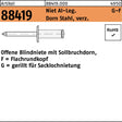 F. REYHER Blindniete R 88419 Flachrundkopf 3,2x10 mm Aluminium/Stahl 500 Stück