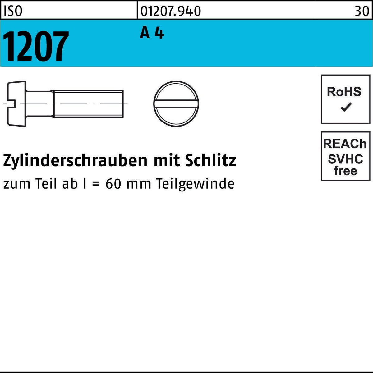 F. REYHER Zylinderschraube ISO 1207 Schlitz M3x35 A4 500 Stück