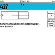 F. REYHER Schaftschraube DIN 427 M3x6 A1 mit Kegelkuppe und Schlitz – 100 Stück