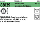 TECKENTRUP Sperrkantscheibe R 88129 NSK-K 4 mm Federstahl zinklamellenbeschichtet 1000 Stück