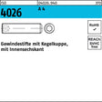 F. REYHER Gewindestift ISO 4026 M5x25 A4 mit Kegelkuppe und Innensechskant