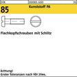 F. REYHER Flachkopfschraube DIN 85 M3x6 aus Polyamid
