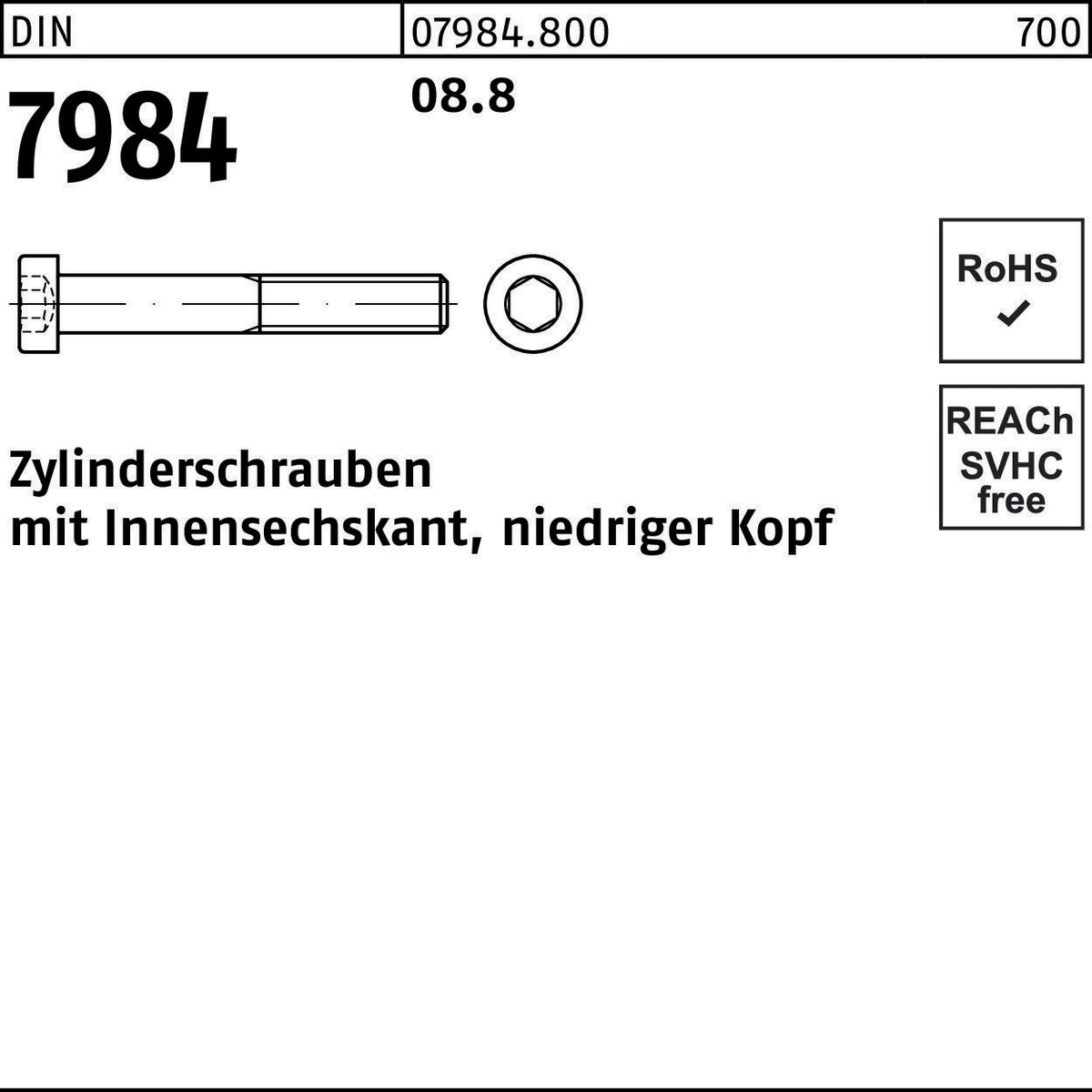 REYHER Zylinderschraube DIN 7984 Innensechskant M3x5 mm 8.8