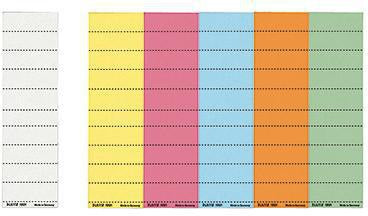 LEITZ Beschriftungsschild ALPHA® 60 x 21 mm, 4-zeilig, weiß, 100 Stück/Pack.