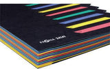 PAGNA Ordnungsmappe Deskorganizer Classic 12 Fächer DIN A4 Pressspan schwarz