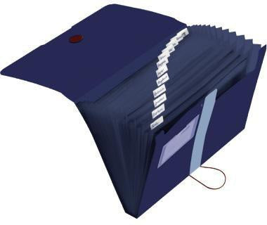 Herlitz Fächermappe easy orga to go green DIN A4, 12 Fächer, Recycling PP, dunkelgrün