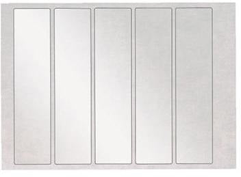 LEITZ Orgacolor® Plus Schutzfolie transparent 4,6 x 19,5 cm – 500 Stück