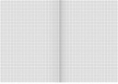 BRUNNEN Schulheft A4 kariert, Lineatur 22, 16 Blatt, 80 g/m², FSC-zertifiziert