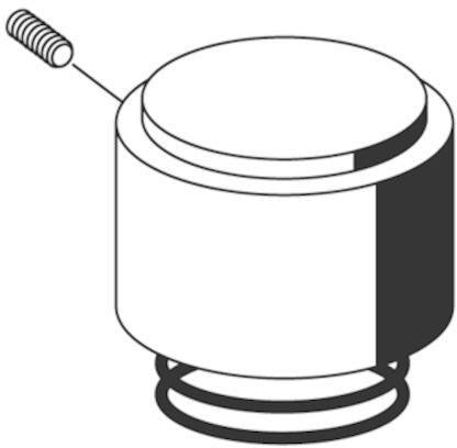 SCHELL Betätigungshaube EDITION mit Druckfeder, chrom – Ersatzteil für WC-Druckspüler