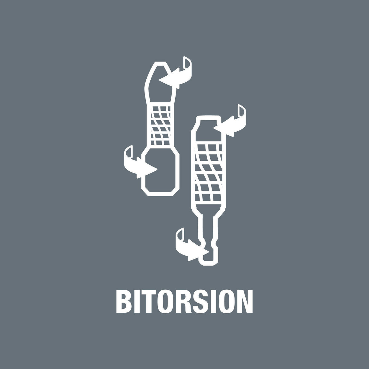 WERA Bit 851/4 BDC PH 2 diamantbeschichtet BiTorsion 50 mm