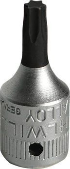 T20 / 01350020