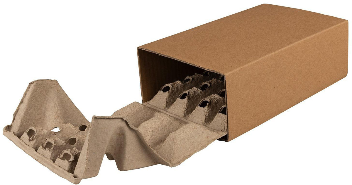 TRANSPAK Polsterbox L-BOXeco basic 300x200x100 mm mit 40 mm Noppen – 90 Stück