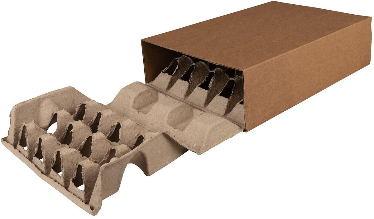 TRANSPAK Polsterbox L-BOXeco basic 300x200x100 mm mit 40 mm Noppen – 90 Stück