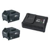Draper Tools 2 x D20 Akku 20V, 4.0Ah Li-ion (D55898) + 1 x D20 Schnellladegerät (D91913) D10102