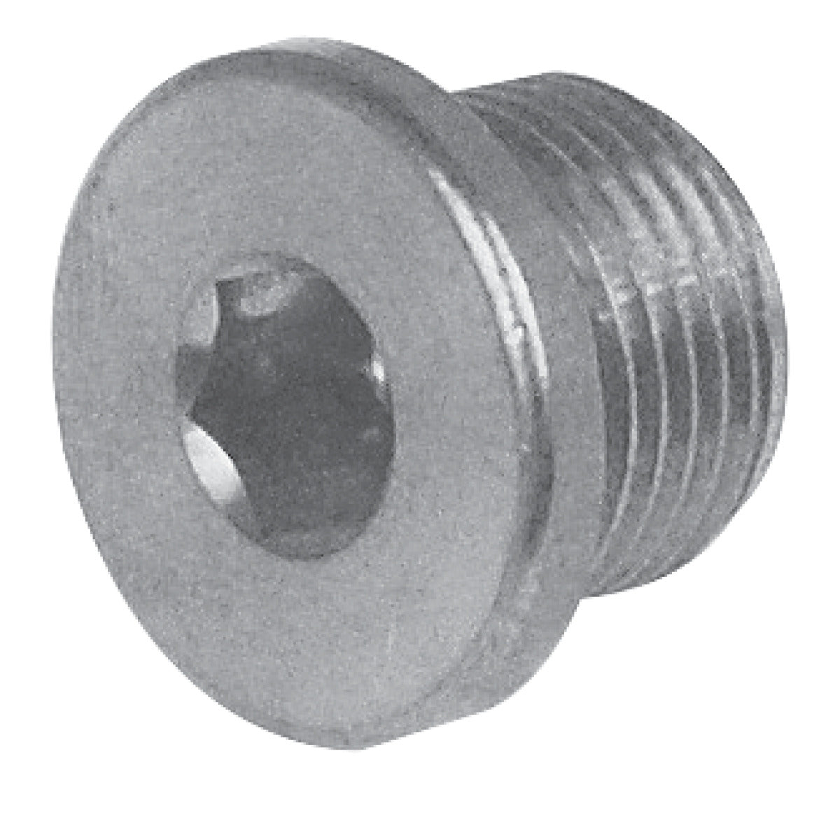 AIRCRAFT Verschlußschraube R 1,1/2"AG  113137 AI-SM-020113137