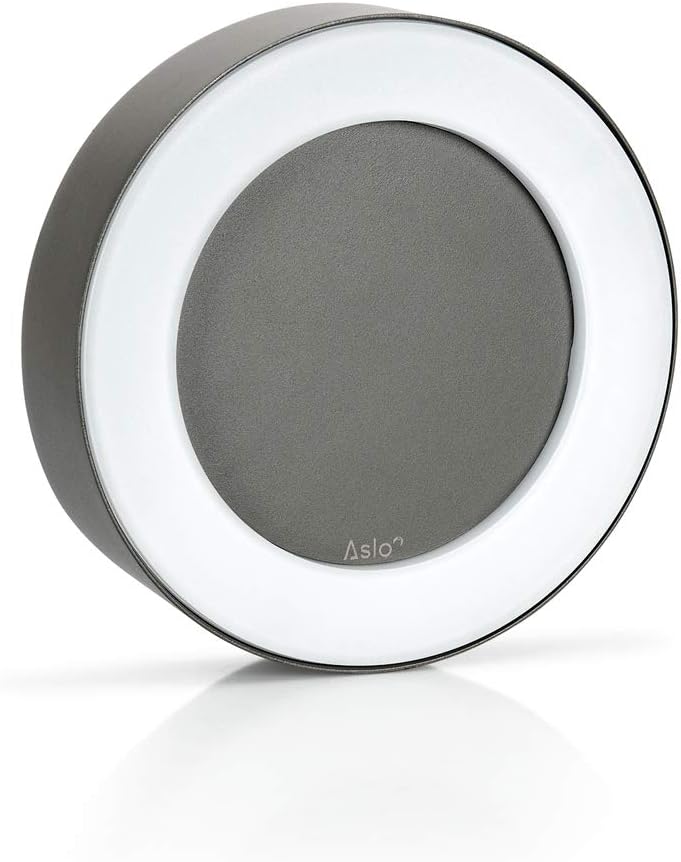 ASLO 6000K, 16 W LED Wandleuchte Stylische runde Design LED Aussenleuchte, Wandleuchte