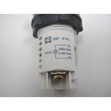 Optimum Betriebsleuchte S 300 VG XB7-EV67 / ET1415 SM-03290300L - SM.P-03290300L