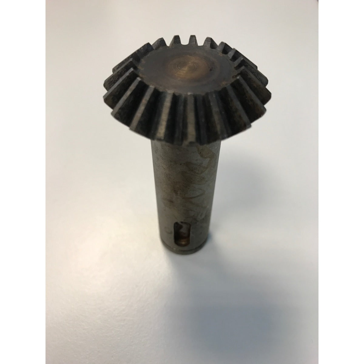 OPTIMUM Zahnrad UF100/DPA/MT100 – Variante 19 SM-03336100745