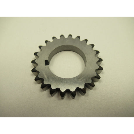 OPTIMUM Zahnrad MH50G/V – Variante 3 SM-03338180359