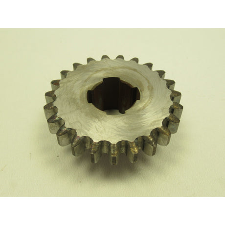 OPTIMUM Zahnrad MH50G/V (5) SM-03338180363