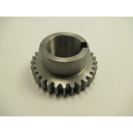 OPTIMUM Wechselrad D320/360/TH3309/D/V/TH40 – Detailausführung 2 SM-03400923225